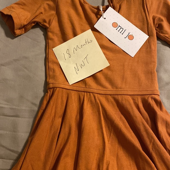 WDW Omi Jo - Picture 2 of 2